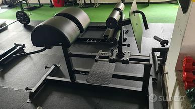 Glute Ham Developer GHD