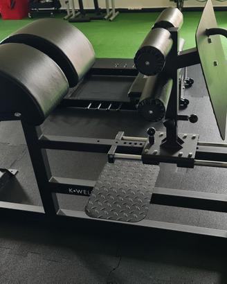 Glute Ham Developer GHD