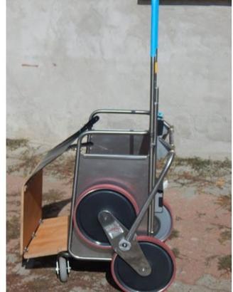 Montascale elettrico per cani con mobilità ridotta