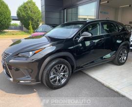 Lexus NX 300h 2.5 business 4wd cvt