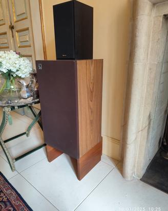 diffusori Esb 100 LD, con supporti .
