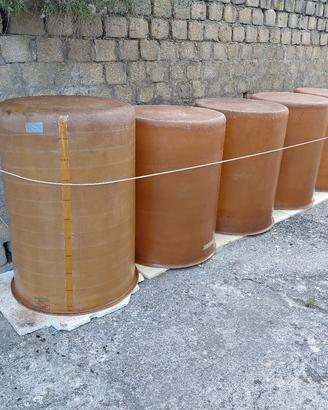 5 botti da 500 litri +torchio da 40 +deraspatrice