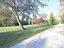Immagine 25