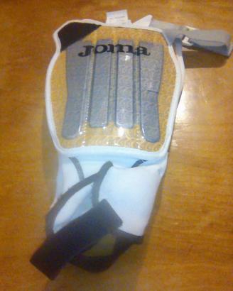 Parastinchi Joma