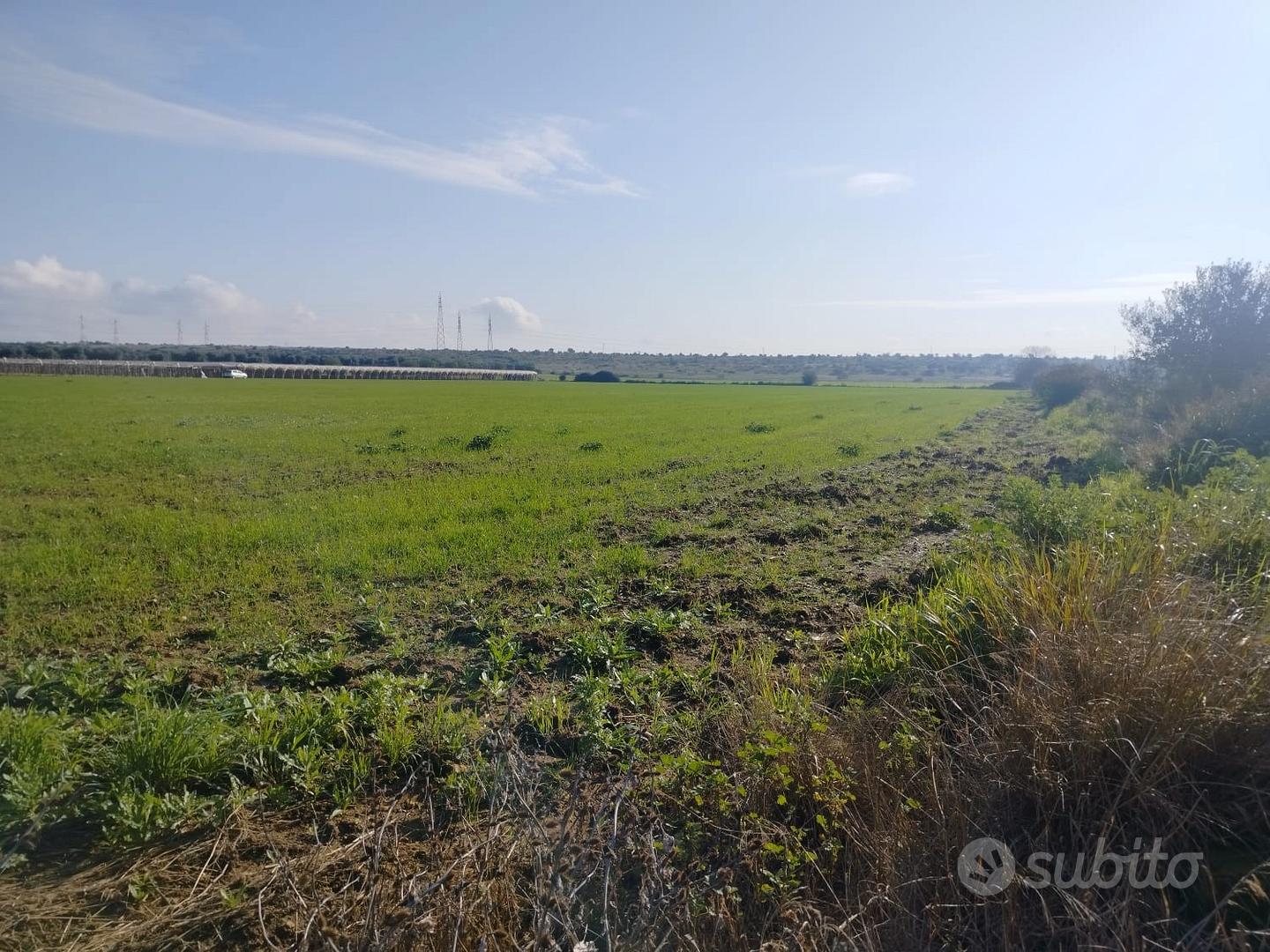 Terreno Agricolo Mar Piccolo - Altro