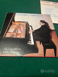 LP Gli Alberi Del Cielo con copertina