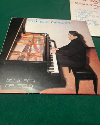 LP Gli Alberi Del Cielo con copertina