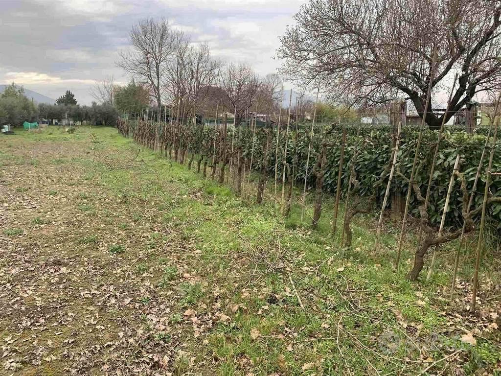 Terreno di 3300 m² a Campi Bisenzio - Altro