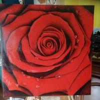 Dipinto fiore rosa rossa elegante