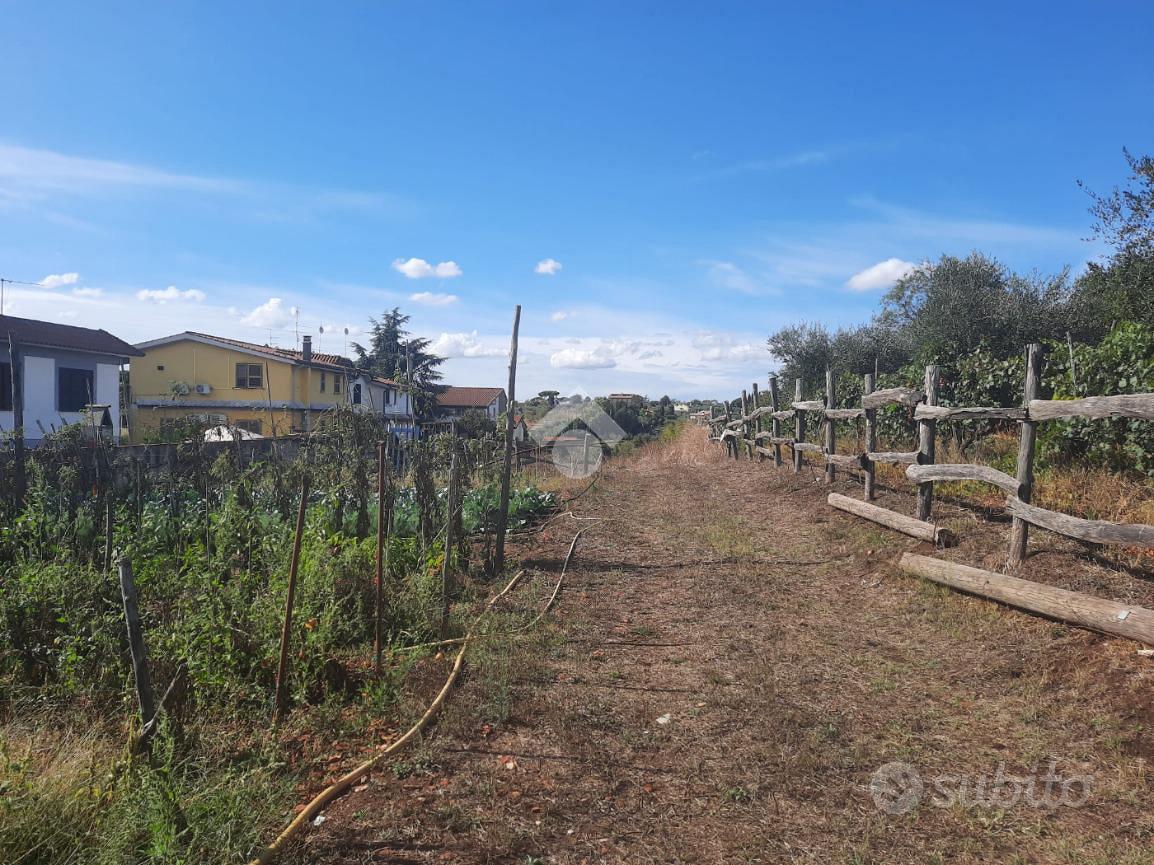 TER. AGRICOLO A ALBANO LAZIALE - Vista 4