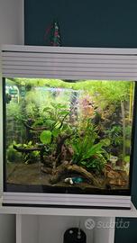 Acquario Askoll Pure M LED
