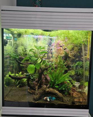 Acquario Askoll Pure M LED