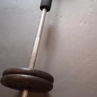 2 dischi in ghisa  da 10 kg l'uno 