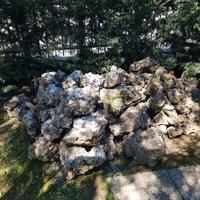 rocce decorative da giardino