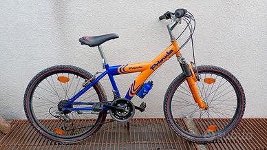 Mountain bike bambino 
