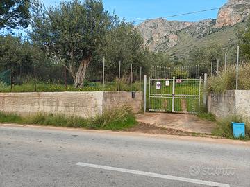 Terreno agricolo Terrasini 3300mq