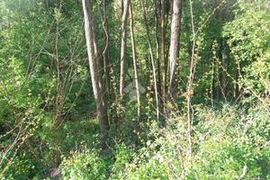 TER. AGRICOLO A TEOLO