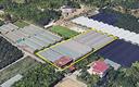 terreno-agricolo-pagani-cod-rif-3202005vrg-