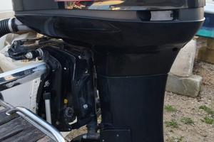 MERCURY OPTIMAX 200 CV