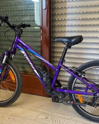 Bicicletta specialized 20”