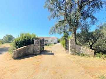 VILLA SINGOLA A VELLETRI