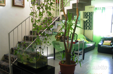 Appartamento luminosissimo