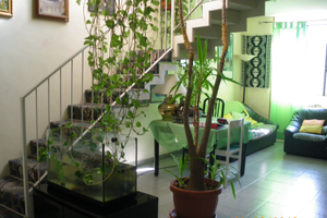 Appartamento luminosissimo