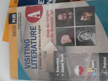 Visiting literature a