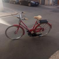 Bici da donna