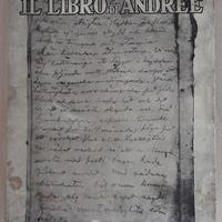 CON L'AQUILA VERSO IL POLO - ANDREE