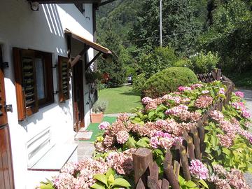 Graziosa casetta singola