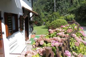 Graziosa casetta singola