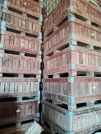 Cassoni in legno per frutta