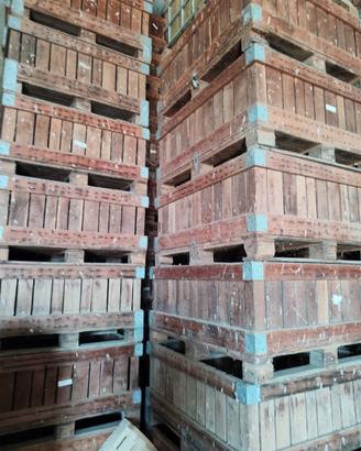 Cassoni in legno per frutta