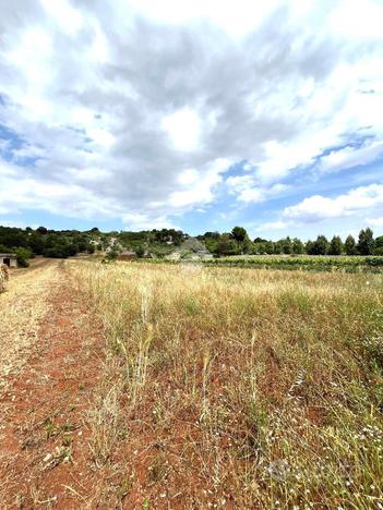 TER. AGRICOLO A CISTERNINO