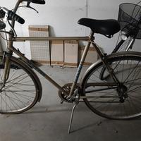 bicicletta da uomo