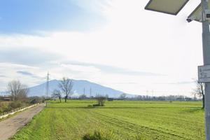 Marigliano Terreno agricolo mq 13.000