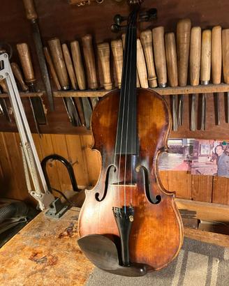violino meta' ottocento