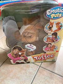 Pelusc cavallo toffee