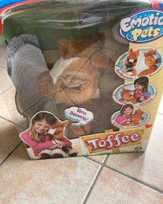 Pelusc cavallo toffee