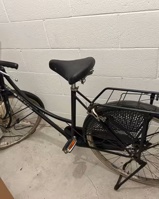Bicicletta da donna
