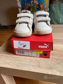 Scarpa puma