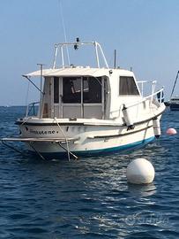 Barca Calafuria 35 natante