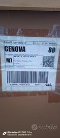 Finestrino sx x furgone Giotto victoria gladiator