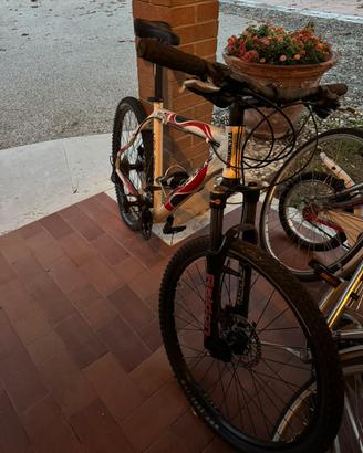 Bici mountain bike Tecnobike Pro 9