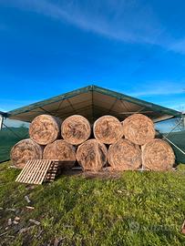 Rotoballe di fieno