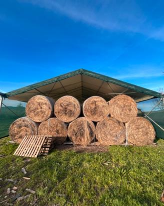 Rotoballe di fieno