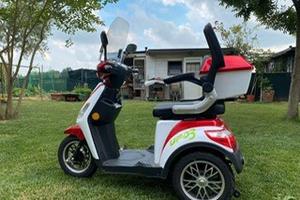 Altro Altro modello - 2021