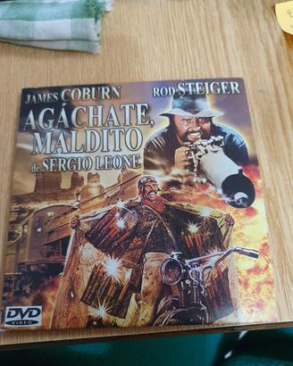 DVD FILM WESTETER AMATORIALI 13 DVD