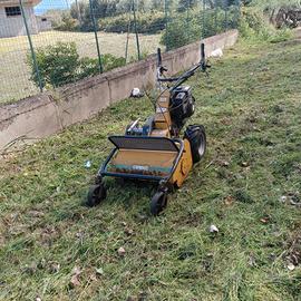 trinciasarmenti